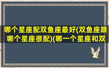 哪个星座配双鱼座最好(双鱼座跟哪个星座很配)(哪一个星座和双鱼座最配)