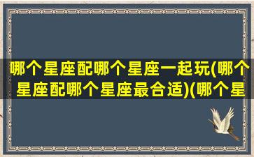 哪个星座配哪个星座一起玩(哪个星座配哪个星座最合适)(哪个星座和哪个星座配)