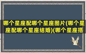 哪个星座配哪个星座图片(哪个星座配哪个星座结婚)(哪个星座搭配哪个星座)