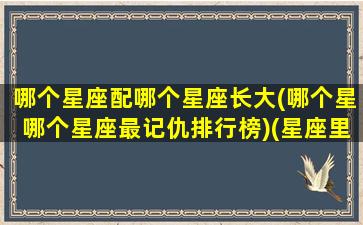 哪个星座配哪个星座长大(哪个星哪个星座最记仇排行榜)(星座里谁最记仇)