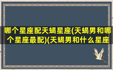 哪个星座配天蝎星座(天蝎男和哪个星座最配)(天蝎男和什么星座男最配对)