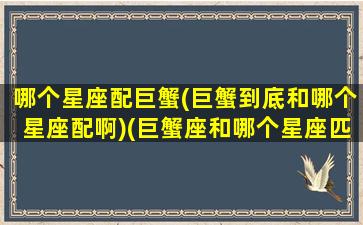 哪个星座配巨蟹(巨蟹到底和哪个星座配啊)(巨蟹座和哪个星座匹配度高)