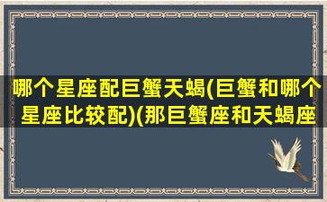 哪个星座配巨蟹天蝎(巨蟹和哪个星座比较配)(那巨蟹座和天蝎座呢)