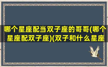 哪个星座配当双子座的哥哥(哪个星座配双子座)(双子和什么星座能成为好朋友)