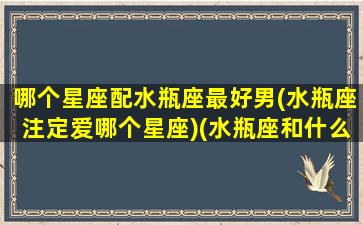 哪个星座配水瓶座最好男(水瓶座注定爱哪个星座)(水瓶座和什么星座最配做男朋友)