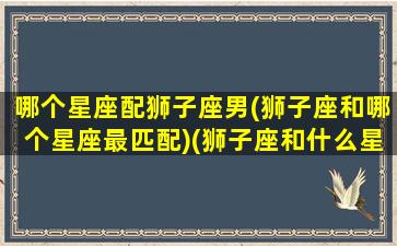 哪个星座配狮子座男(狮子座和哪个星座最匹配)(狮子座和什么星座男生)