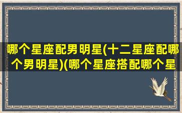 哪个星座配男明星(十二星座配哪个男明星)(哪个星座搭配哪个星座)