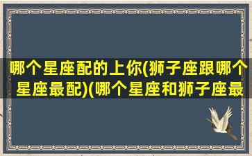 哪个星座配的上你(狮子座跟哪个星座最配)(哪个星座和狮子座最般配)