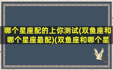 哪个星座配的上你测试(双鱼座和哪个星座最配)(双鱼座和哪个星座最般配一个)