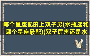 哪个星座配的上双子男(水瓶座和哪个星座最配)(双子厉害还是水瓶厉害)