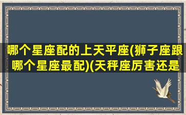 哪个星座配的上天平座(狮子座跟哪个星座最配)(天秤座厉害还是狮子厉害)