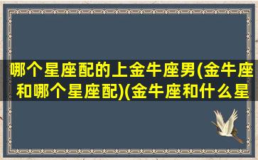 哪个星座配的上金牛座男(金牛座和哪个星座配)(金牛座和什么星座男最配)