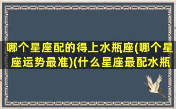 哪个星座配的得上水瓶座(哪个星座运势最准)(什么星座最配水瓶座)