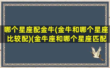 哪个星座配金牛(金牛和哪个星座比较配)(金牛座和哪个星座匹配度高)