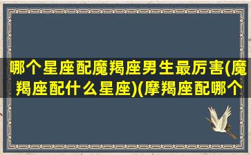 哪个星座配魔羯座男生最厉害(魔羯座配什么星座)(摩羯座配哪个星座的男生)