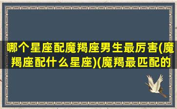 哪个星座配魔羯座男生最厉害(魔羯座配什么星座)(魔羯最匹配的星座)