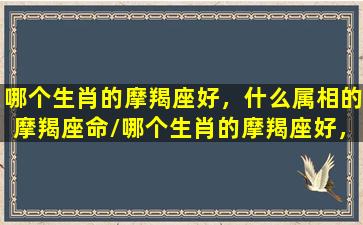 哪个生肖的摩羯座好，什么属相的摩羯座命/哪个生肖的摩羯座好，什么属相的摩羯座命-我的网站