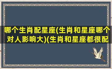 哪个生肖配星座(生肖和星座哪个对人影响大)(生肖和星座都很配的是真爱吗)