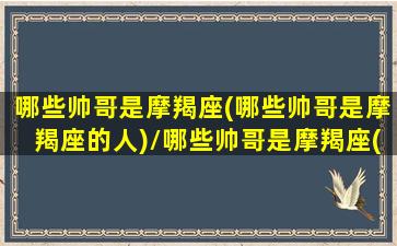 哪些帅哥是摩羯座(哪些帅哥是摩羯座的人)/哪些帅哥是摩羯座(哪些帅哥是摩羯座的人)-我的网站