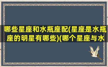 哪些星座和水瓶座配(星座是水瓶座的明星有哪些)(哪个星座与水瓶座最般配)