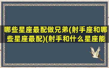 哪些星座最配做兄弟(射手座和哪些星座最配)(射手和什么星座能成为好朋友)