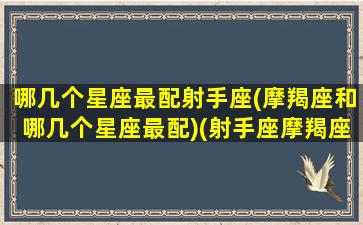 哪几个星座最配射手座(摩羯座和哪几个星座最配)(射手座摩羯座哪个厉害)