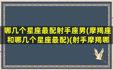 哪几个星座最配射手座男(摩羯座和哪几个星座最配)(射手摩羯哪个好)