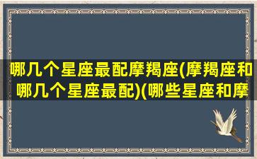 哪几个星座最配摩羯座(摩羯座和哪几个星座最配)(哪些星座和摩羯座最配)