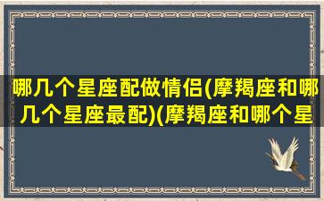 哪几个星座配做情侣(摩羯座和哪几个星座最配)(摩羯座和哪个星座是搭配情侣)