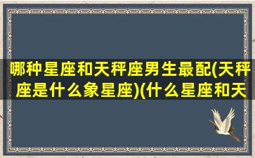 哪种星座和天秤座男生最配(天秤座是什么象星座)(什么星座和天秤男最配对)