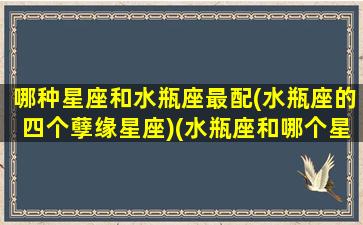 哪种星座和水瓶座最配(水瓶座的四个孽缘星座)(水瓶座和哪个星座很配)
