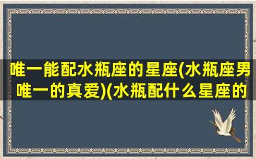 唯一能配水瓶座的星座(水瓶座男唯一的真爱)(水瓶配什么星座的男生)