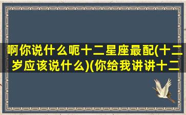 啊你说什么呃十二星座最配(十二岁应该说什么)(你给我讲讲十二星座吧)