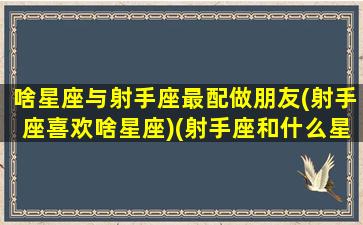 啥星座与射手座最配做朋友(射手座喜欢啥星座)(射手座和什么星座做朋友最配)