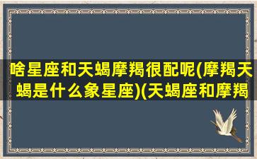 啥星座和天蝎摩羯很配呢(摩羯天蝎是什么象星座)(天蝎座和摩羯座有哪些厉害人物)