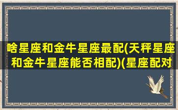 啥星座和金牛星座最配(天秤星座和金牛星座能否相配)(星座配对金牛座和天秤座)