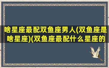 啥星座最配双鱼座男人(双鱼座是啥星座)(双鱼座最配什么星座的男人)