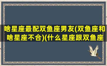 啥星座最配双鱼座男友(双鱼座和啥星座不合)(什么星座跟双鱼座男最配)