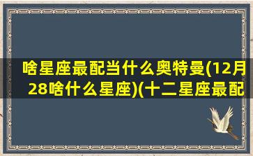 啥星座最配当什么奥特曼(12月28啥什么星座)(十二星座最配的奥特曼特曼)