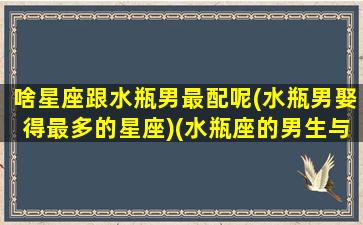 啥星座跟水瓶男最配呢(水瓶男娶得最多的星座)(水瓶座的男生与什么星座的男生合适朋友)