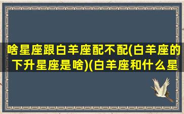 啥星座跟白羊座配不配(白羊座的下升星座是啥)(白羊座和什么星座最生财)