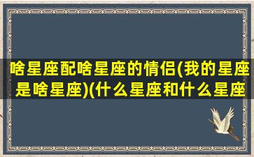 啥星座配啥星座的情侣(我的星座是啥星座)(什么星座和什么星座最适合做情侣)