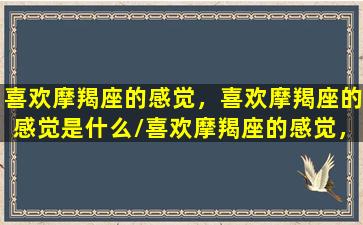 喜欢摩羯座的感觉，喜欢摩羯座的感觉是什么/喜欢摩羯座的感觉，喜欢摩羯座的感觉是什么-我的网站