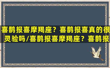 喜鹊报喜摩羯座？喜鹊报喜真的很灵验吗/喜鹊报喜摩羯座？喜鹊报喜真的很灵验吗-我的网站