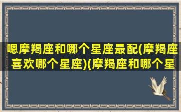 嗯摩羯座和哪个星座最配(摩羯座喜欢哪个星座)(摩羯座和哪个星座比较合适)