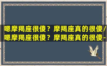 嗯摩羯座很傻？摩羯座真的很傻/嗯摩羯座很傻？摩羯座真的很傻-我的网站