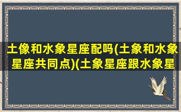 土像和水象星座配吗(土象和水象星座共同点)(土象星座跟水象星座配吗)