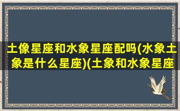 土像星座和水象星座配吗(水象土象是什么星座)(土象和水象星座怎么样)