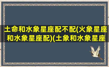 土命和水象星座配不配(火象星座和水象星座配)(土象和水象星座合适吗)