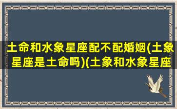 土命和水象星座配不配婚姻(土象星座是土命吗)(土象和水象星座合适吗)